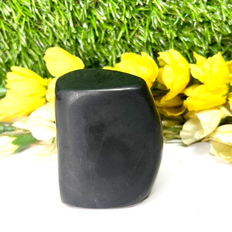 Shungite Free Forms (Protection & Detoxification)