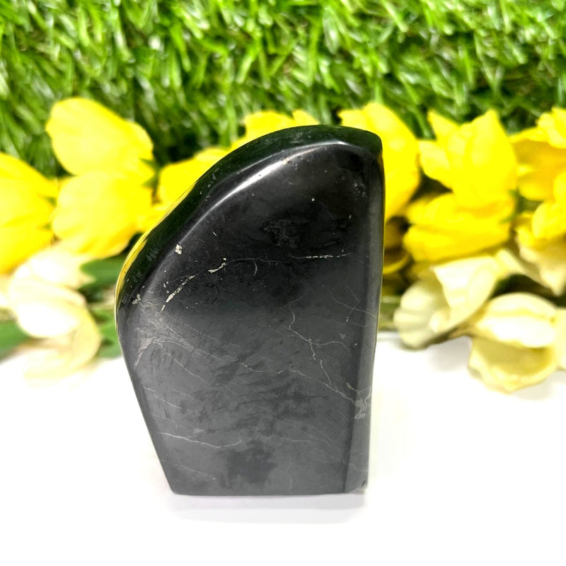 Shungite Free Forms (Protection & Detoxification)