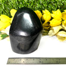 Shungite Free Forms (Protection & Detoxification)