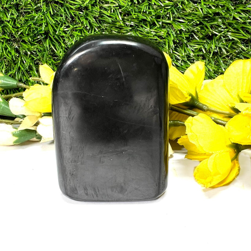 Shungite Free Forms (Protection & Detoxification)