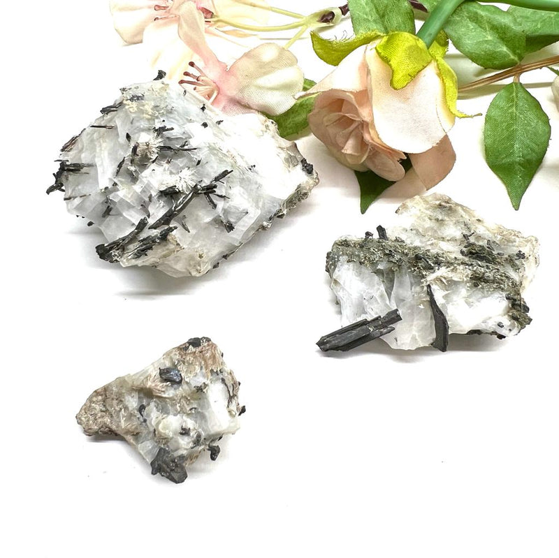Silver on Matrix Mineral Specimen (Psychic Abilities)
