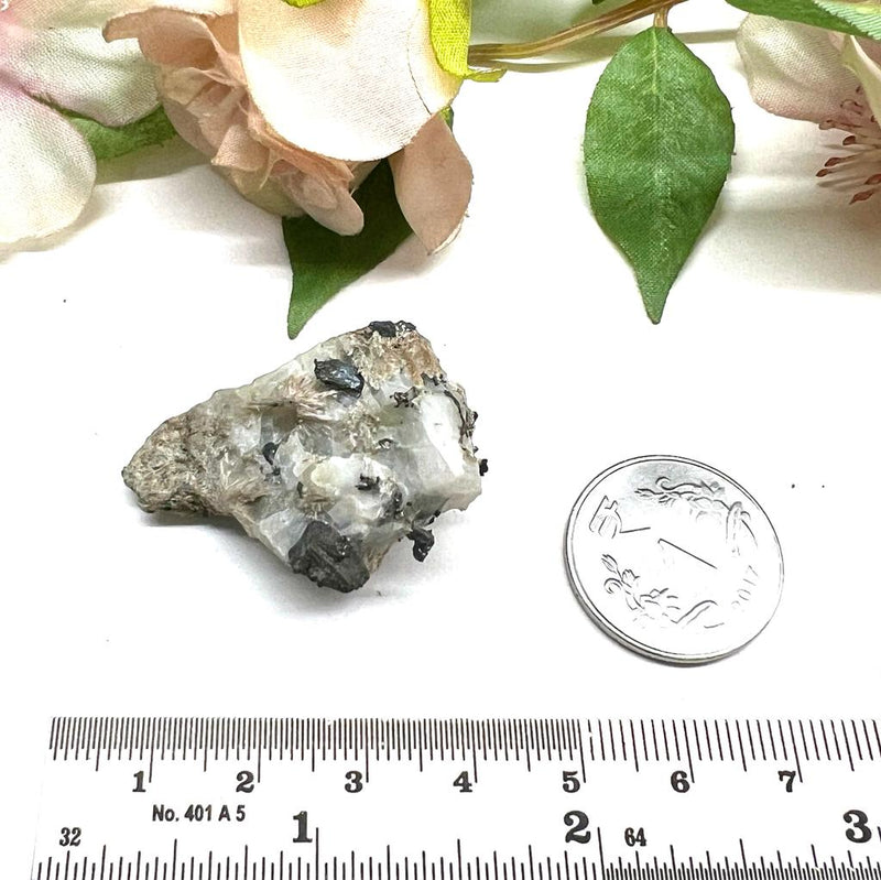 Silver on Matrix Mineral Specimen (Psychic Abilities)