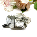 Silver on Matrix Mineral Specimen (Psychic Abilities)
