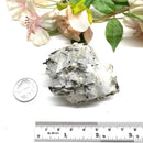Silver on Matrix Mineral Specimen (Psychic Abilities)