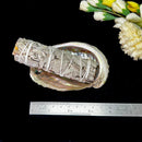 Abalone shell & White Shell