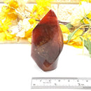 Small Carnelian Twisted Flames (Creativity & Passion)