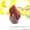 Small Carnelian Twisted Flames (Creativity & Passion)