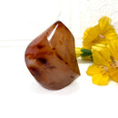 Small Carnelian Twisted Flames (Creativity & Passion)