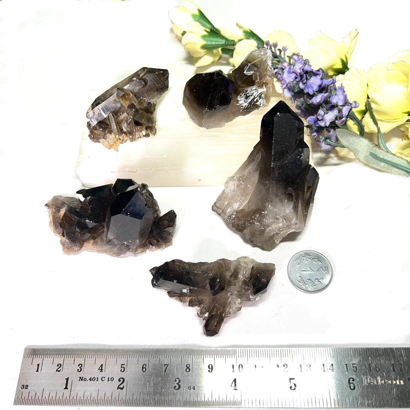 Smoky Quartz Cluster (Grounding & Balancing)