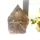 Smoky Quartz Free forms with Polished Points from Brazil