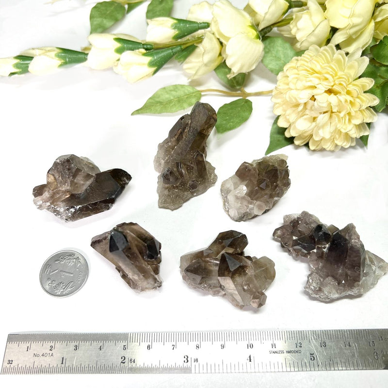 Smoky Quartz Cluster (Grounding & Balancing)