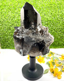Smoky Quartz / Morion Cluster with large Points on Stand (Support)