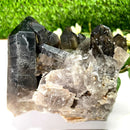 Smoky Quartz Cluster (Grounding & Balancing)