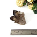 Smoky Quartz Cluster (Grounding & Balancing)