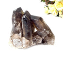 Smoky Quartz Cluster (Grounding & Balancing)