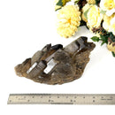 Smoky Quartz Cluster (Grounding & Balancing)