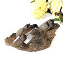Smoky Quartz Cluster (Grounding & Balancing)