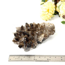 Smoky Quartz Cluster (Grounding & Balancing)
