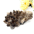 Smoky Quartz Cluster (Grounding & Balancing)