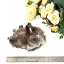 Smoky Quartz Cluster (Grounding & Balancing)