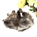 Smoky Quartz Cluster (Grounding & Balancing)