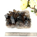 Smoky Quartz Cluster (Grounding & Balancing)