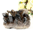 Smoky Quartz Cluster (Grounding & Balancing)