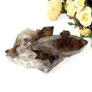 Smoky Quartz Cluster (Grounding & Balancing)