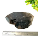 Smoky Quartz Clusters with Large Points
