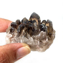 Smoky Quartz Cluster (Grounding & Balancing)