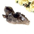 Smoky Quartz Cluster (Grounding & Balancing)