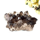 Smoky Quartz Cluster (Grounding & Balancing)
