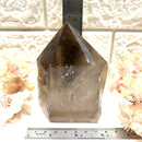 Smoky Quartz Free forms with Polished Points from Brazil