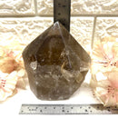 Smoky Quartz Free forms with Polished Points from Brazil