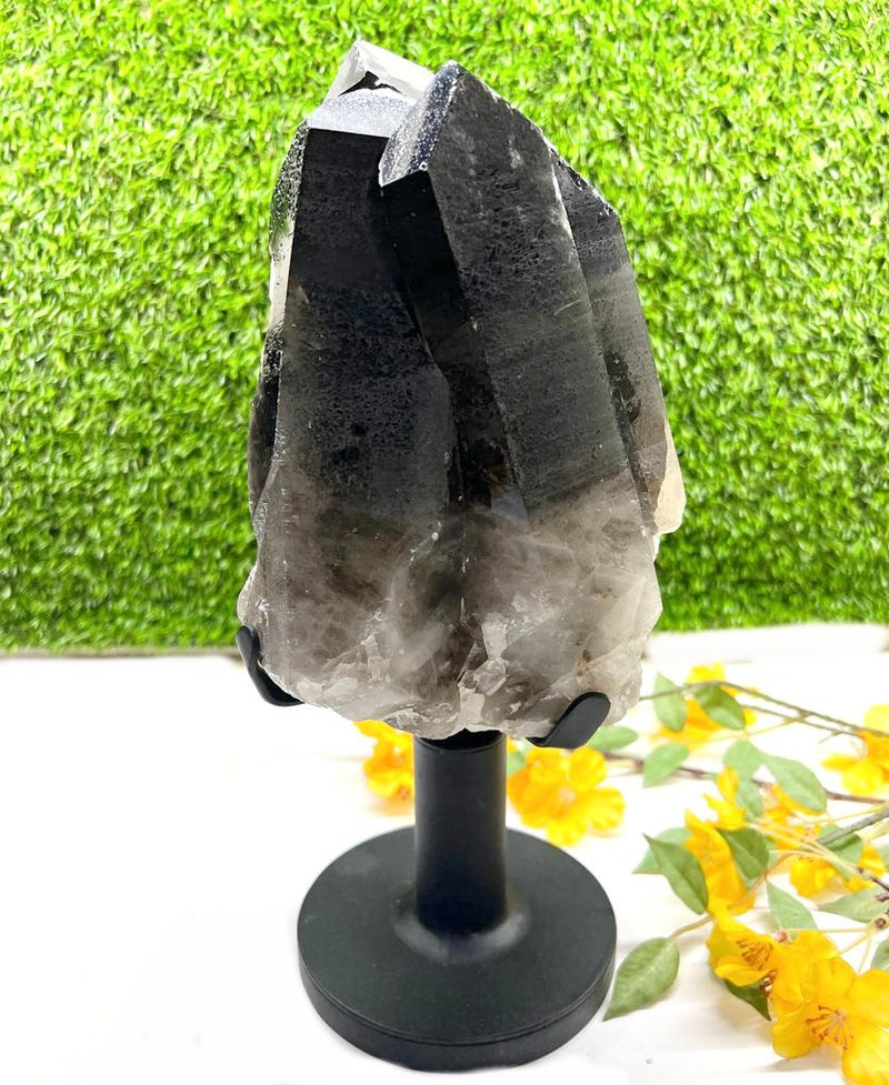 Smokey Quartz / Morion Cluster with large Points on Stand (Support)