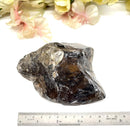 Smoky Quartz One Side Polished Rough (Grounding)
