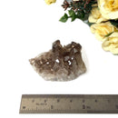 Smoky Quartz Cluster (Grounding & Balancing)