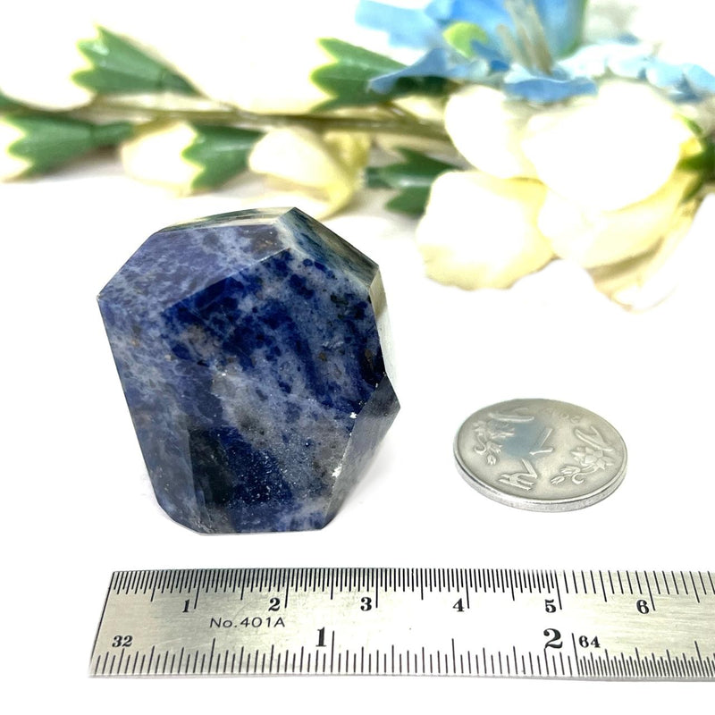 Sodalite Free Forms (Expression)