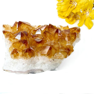 #Size_option a (263.5 g)