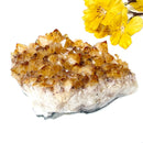Special Citrine Clusters AAA Extra Quality (Career and Business)