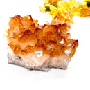 Special Citrine Clusters AAA Extra Quality (Career and Business)