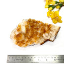 Special Citrine Clusters AAA Extra Quality (Career and Business)