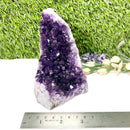 Standing Amethyst Clusters from Uruguay AAA Extra (Very dark Purple)