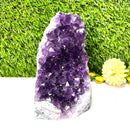 Standing Amethyst Clusters from Brazil AAA Quality (High Vibrations)