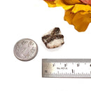 Staurolite Rough Specimen (Connect with Nature)
