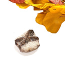 Staurolite Rough Specimen (Connect with Nature)