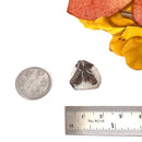 Staurolite Rough Specimen (Connect with Nature)