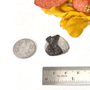 Staurolite Rough Specimen (Connect with Nature)