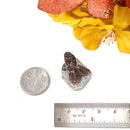 Staurolite Rough Specimen (Connect with Nature)