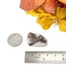 Staurolite Rough Specimen (Connect with Nature)